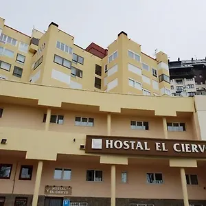 El Ciervo Pensión